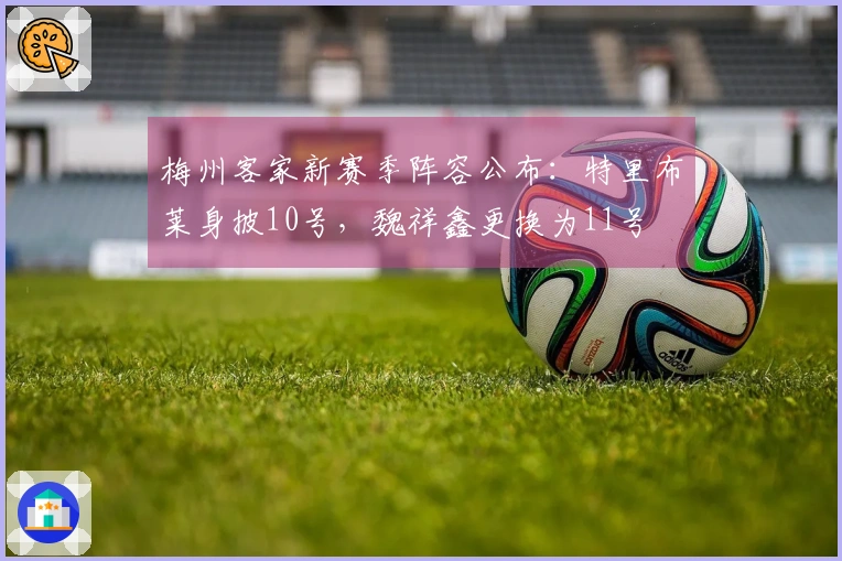 梅州客家新赛季阵容公布：特里布莱身披10号，魏祥鑫更换为11号