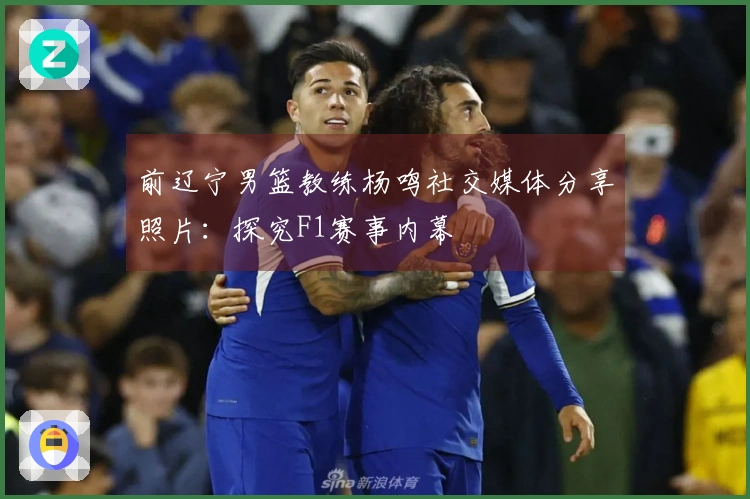 前辽宁男篮教练杨鸣社交媒体分享照片：探究F1赛事内幕