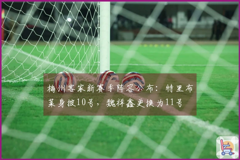 梅州客家新赛季阵容公布：特里布莱身披10号，魏祥鑫更换为11号